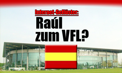 Raul zum VfL?