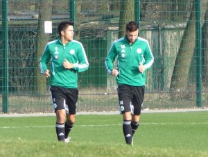Medojevic