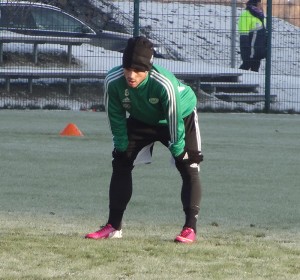 Vieirinha