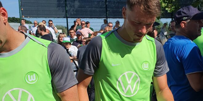 Verlässt Pejcinovic den VfL Wolfsburg? Foto: Normen Scholz/Wolfsblog