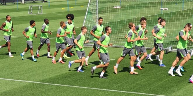 Die Mannschaft des VfL Wolfsburg beim Training. Foto: Normen Scholz/Wolfsblog